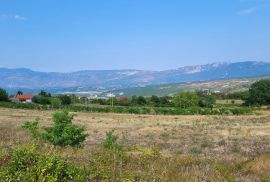 Prostrano građevinsko i poljoprivrednoo zemljište, 28958 m2, Pićan, Pićan, Land