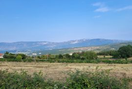 Poljoprivredno zemljište, Pićan, Pićan, Land