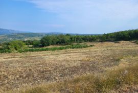 Poljoprivredno zemljište, Pićan, Pićan, أرض