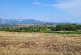 Kompleks građevinskog i poljoprivrednog zemljišta, Pićan, Pićan, Land
