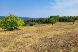 Kompleks građevinskog i poljoprivrednog zemljišta, Pićan, Land