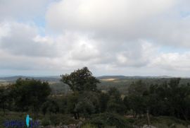 Rovinj - poljopriv. zemljište s tradicionalnom stancijom, Rovinj, Γη