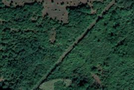 Poljoprivredno zemljište i šuma, 71990 m2, Poreč, Land