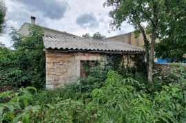 ISTRA, ŽMINJ - Dvojna kuća s pomoćnim objektom u mirnom selu, Žminj, Famiglia