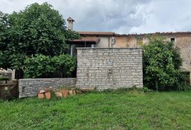 ISTRA, ŽMINJ - Dvojna kuća s pomoćnim objektom u mirnom selu, Žminj, Ev