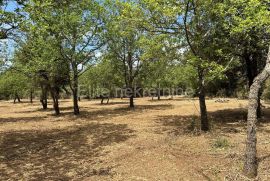 ISTRA,PEROJ - prodaja poljoprivrednog zemljišta 550m od uvale Portić, Vodnjan, Zemljište