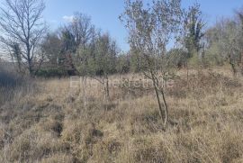 Krnica - prodaja poljoprivrednog zemljišta, 6.736m2, Marčana, Arazi