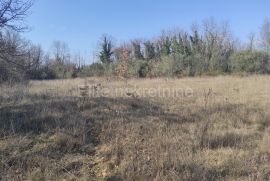 Krnica - prodaja poljoprivrednog zemljišta, 6.736m2, Marčana, Terreno