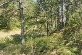 Lupoglav - poljoprivredno zemljište/šuma 36.954 m2, Lupoglav, Terrain
