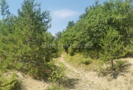 Lupoglav - poljoprivredno zemljište/šuma 36.954 m2, Lupoglav, Arazi
