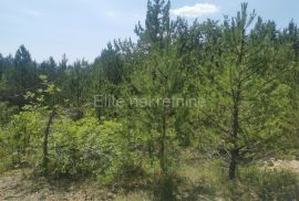 Lupoglav - poljoprivredno zemljište/šuma 36.954 m2, Lupoglav, Arazi