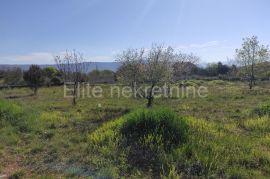Rakalj - prodaja građevinskog zemljišta, 3500m2, Marčana, Γη