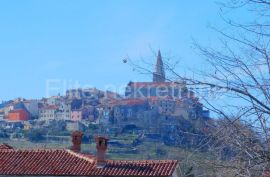 Buje - građevinsko zemljište sa kućama i poslovnom zgradom, Buje, Zemljište