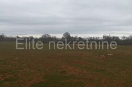 Marčana - poljoprivredno zemljište 39.987 m2, Marčana, Terreno