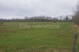 Krnica - poljoprivredno zemljište, 14104m2 !, Marčana, Terreno