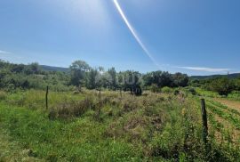 ISTRA, SOVINJAK - Poljoprivredno zemljište pogodno za vinogradarstvo, Buzet, Zemljište