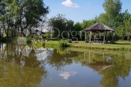 Ribnjak sa kućom,vocnjakom i placom 38 880 m²,mjesto Šag,okolica Osijeka, Valpovo, Kuća