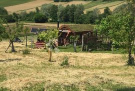 Kućica s polja zelenih, Križevci, Famiglia
