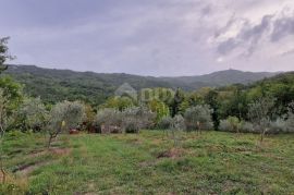 ISTRA, GRAČIŠĆE - Kompleks zemljišta s objektima i prekrasnim pogledom, Gračišće, Terreno