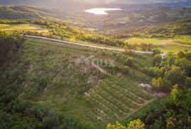 ISTRA, CEROVLJE, GRIMALDA - Poljoprivredno zemljište u blizini jezera Butoniga, Cerovlje, Zemljište