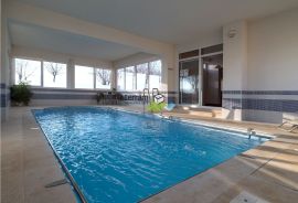 Istra, Vodnjan, samostojeća kuća 531m2 s unutarnjim bazenom i velikom okućnicom, prodaja, Vodnjan, Famiglia