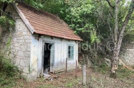 Lika Jezerane kamena kuća 98 m2 + okućnica, Brinje, بيت