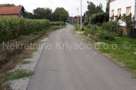 Građevinsko zemljište - T. Markovac, Bjelovar, Arazi