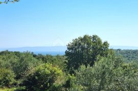 ISTRA, KRNICA - Jedinstveno imanje s panoramskim pogledima, Marčana, Famiglia