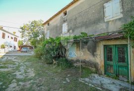 Kompleks autohtonih istarskih kuća za adaptaciju u okolici Buja, Buje, Σπίτι