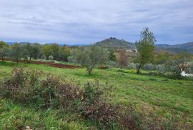 Prostrano zemljište na lijepoj lokaciji, okolica Buzeta, Buzet, Terreno