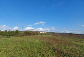 Poljoprivredno zemljište s pogledom na jezero, Buzet, أرض