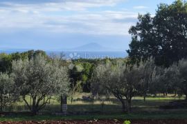 Poljoprivredno zemljište u Išićima, Marčana, Terreno