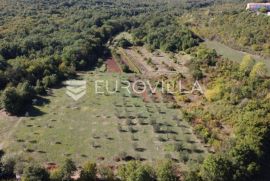 Labin okolica, Stara kamena kuća s 27.000 m2 poljoprivrednog zemljišta, vinograd i voćnjaci, Labin, Famiglia