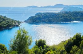 Luksuzna villa s bazenom, u prirodnom okruženju, pogled more, Dubrovnik, Maison