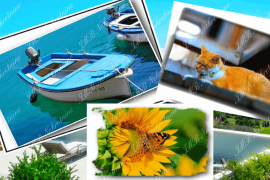 Luksuzna villa s bazenom, u prirodnom okruženju, pogled more, Dubrovnik, Ev