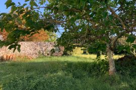 SVETVINČENAT – samostojeća kamena kuća na mirnoj lokaciji, Svetvinčenat, Maison