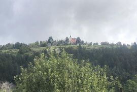 Kuća s potencijalom, Moravice, Vrbovsko, Kuća