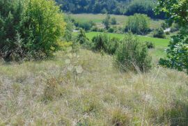 Poljoprivredno zemljište u okolici Butonige, Pazin - Okolica, Земля