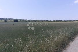 Bibinje- Poljoprivredno zemljište, Bibinje, Arazi