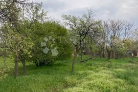 Imanje 2273 m2 Bogdanovci, kuća i pomoćna zgrada, Bogdanovci, Haus