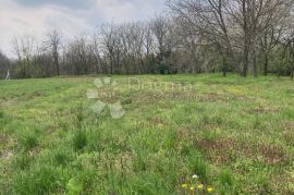 Imanje 2273 m2 Bogdanovci, kuća i pomoćna zgrada, Bogdanovci, House