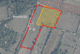 Vodnjan poljoprivredno zemljište 12 000 m², Vodnjan, Zemljište