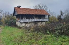 Idealna kuća za odmor, Ribnik, Ev