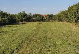 Poljoprivredno zemljište Prodaja poljoprivrednog zemljište, Krnica, Marčana, Arazi