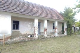 Kuća sa zemljom 1958m2, Orahovica, Σπίτι