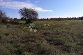 Poljoprivredno zemljište, okolica Marčane, Marčana, Tierra