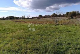 Poljoprivredno zemljište, okolica Marčane, Marčana, Terra