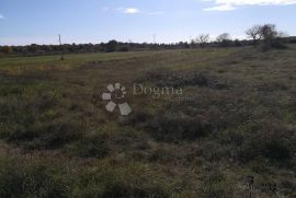 Poljoprivredno zemljište, okolica Marčane, Marčana, Tierra