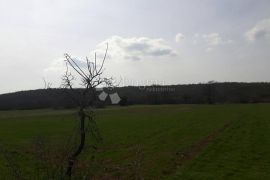 LABIN, poljoprivredno zemljište u okolici Labina, 17735 m², Labin, Terreno
