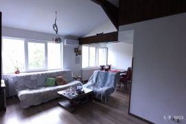 Prodajem kucu sa dva odvojena stana Dudovi-Obrenovac, Obrenovac, Σπίτι